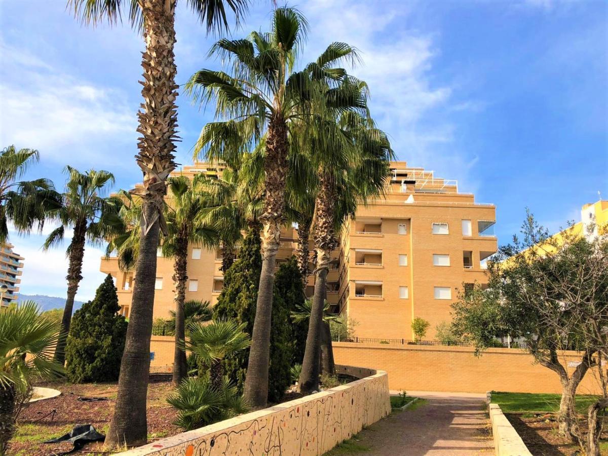 Acv - Valparaiso - 2ª Linea Planta 9 Norte أوروبيسا ذيل مار المظهر الخارجي الصورة